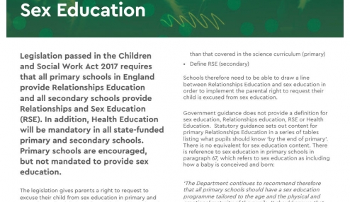 RSE definitions 
