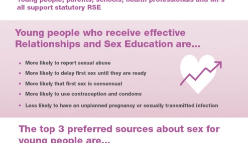 RSE evidence - infographic