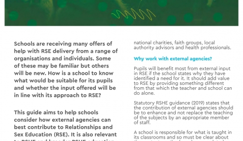 External agencies and RSE