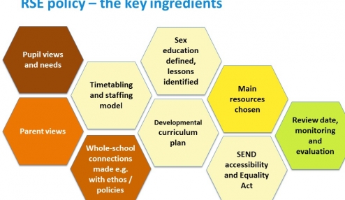 Have you asked your pupils about RSE? 