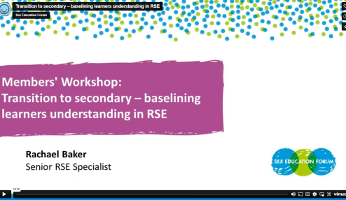 Transition to secondary: baselining learners understanding in RSE - 20 June 2023