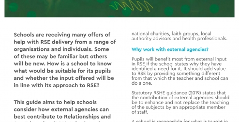 External agencies and RSE